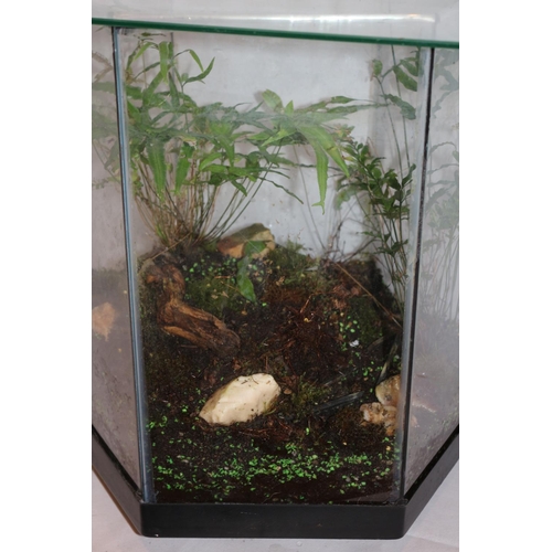 474 - All Glass Centrepiece Table With Living Plants And Glass Top