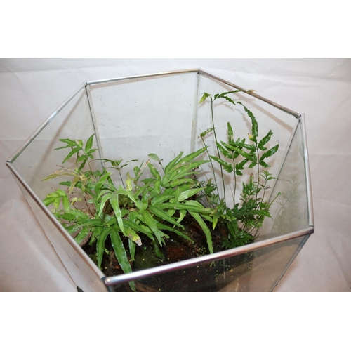 474 - All Glass Centrepiece Table With Living Plants And Glass Top