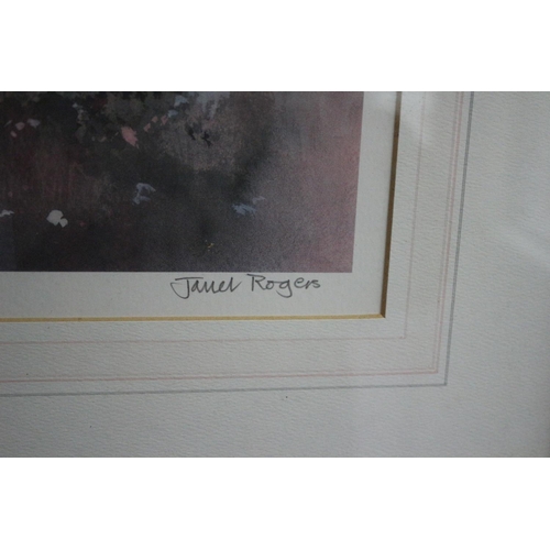 585 - Limited Edition Print 278/500 by Janet Rogers, titled 