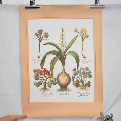 165 - 4 Horticultural Poster Prints x 4