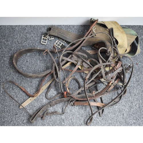 68 - Assortment of Horse Riding Equipment, Leather Straps etc