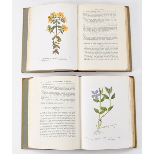 62 - Three Vintage Books, Wayside and Woodland Blossoms by Edward Step.