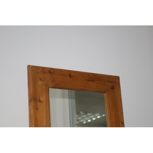 118 - Tall Wide Rimmed Pine Mirror - 136 x 45cm