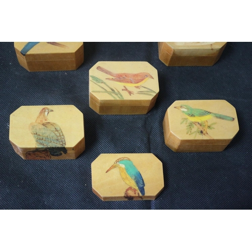 154 - Collection of 11 Aged Hand Made and Hand Painted Small Boxes with Silk Lining - Each Box Has a Bird ... 