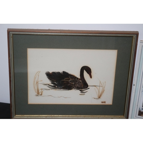 200 - Aged Real Feather Picture of a Black Swan plus an Acrylic Original Painting of a Possible Greek Vill... 