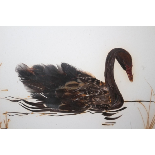 200 - Aged Real Feather Picture of a Black Swan plus an Acrylic Original Painting of a Possible Greek Vill... 