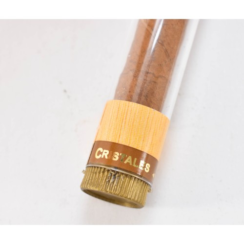 263 - A Cuban Cigar