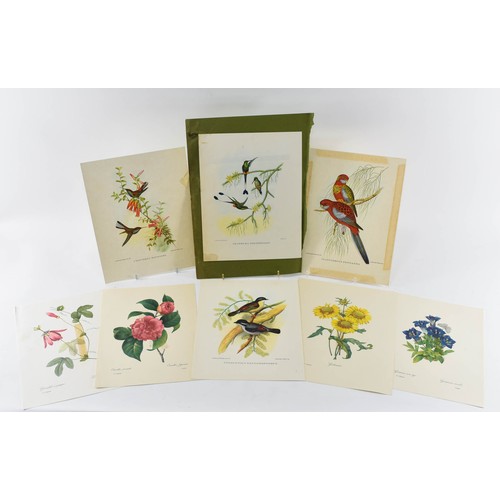 265 - A Collection Of Vintage Prints Of Birds And Flowers