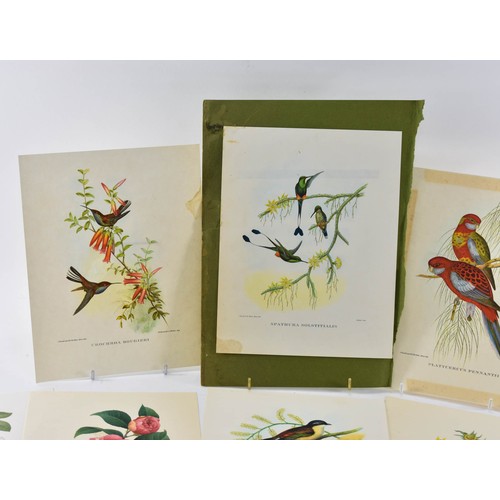 265 - A Collection Of Vintage Prints Of Birds And Flowers