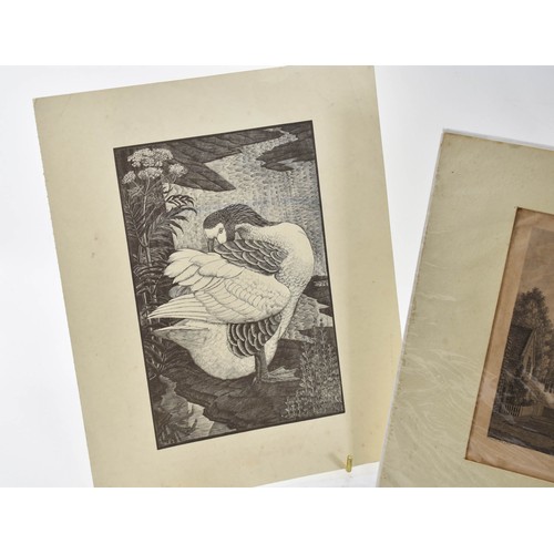 268 - A Collection Of 5 Vintage / Antique Prints