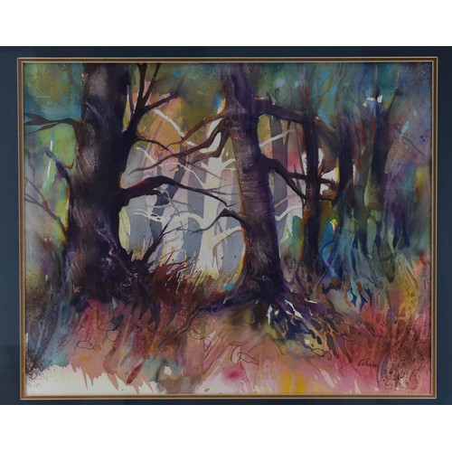 291 - A Stunning F/M/G Original Watercolour Of A Woodland. 69 x 79cm.