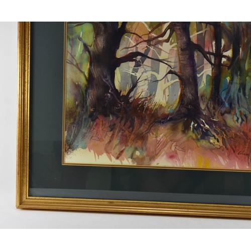 291 - A Stunning F/M/G Original Watercolour Of A Woodland. 69 x 79cm.