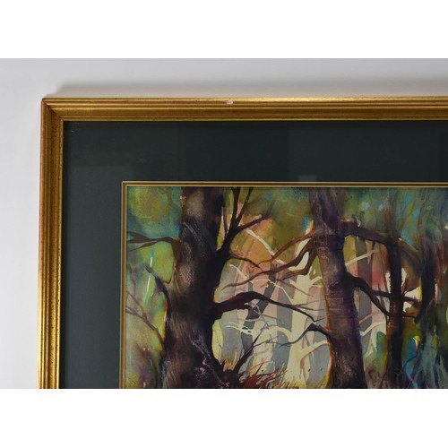 291 - A Stunning F/M/G Original Watercolour Of A Woodland. 69 x 79cm.