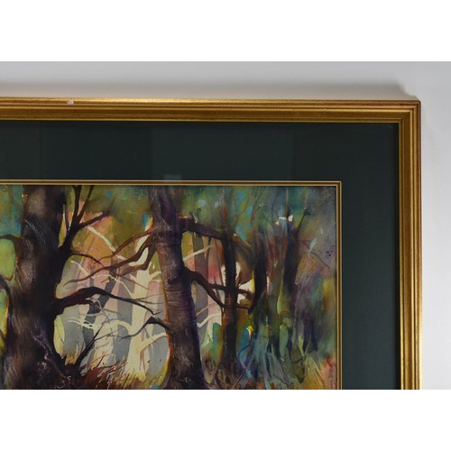 291 - A Stunning F/M/G Original Watercolour Of A Woodland. 69 x 79cm.