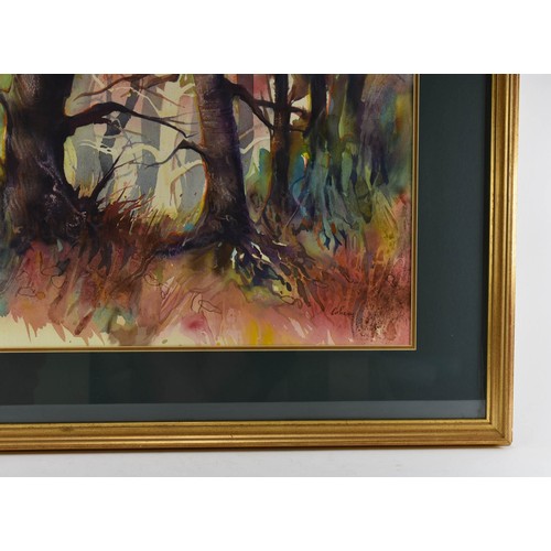 291 - A Stunning F/M/G Original Watercolour Of A Woodland. 69 x 79cm.