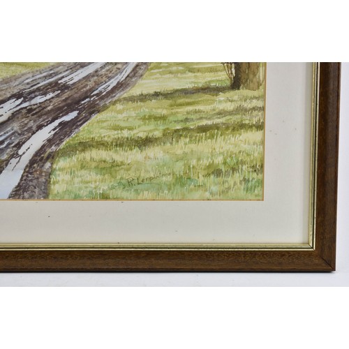 314 - F/M/G Original Watercolour Depicting A Landscape Track Scene. 63cm x 54cm. R. Lerpiniere Signed