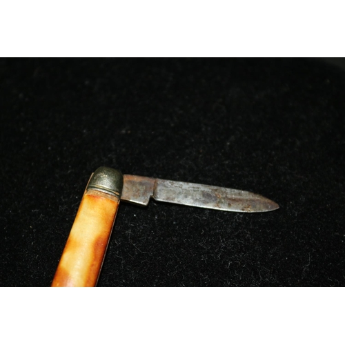 21 - Richards of Sheffield Pocket/ Fruit Knife