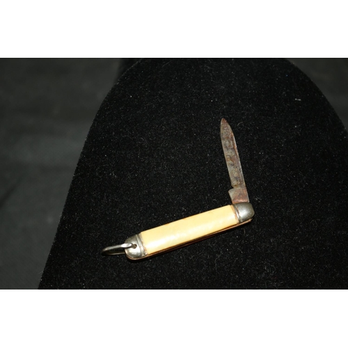 21 - Richards of Sheffield Pocket/ Fruit Knife