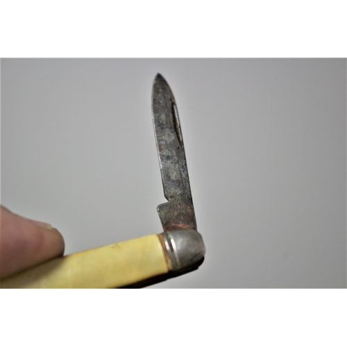 21 - Richards of Sheffield Pocket/ Fruit Knife