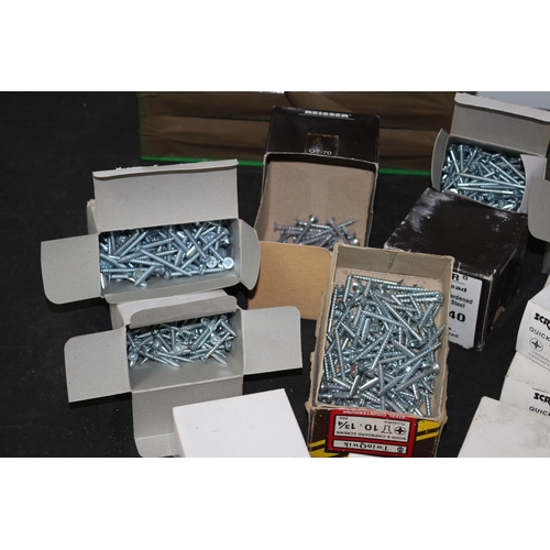 109 - A Large Selection of Various Types and  Size Screws