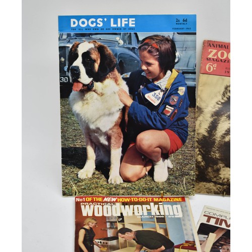 460 - 4 Vintage Magazines Including Dog's Life And Zoo