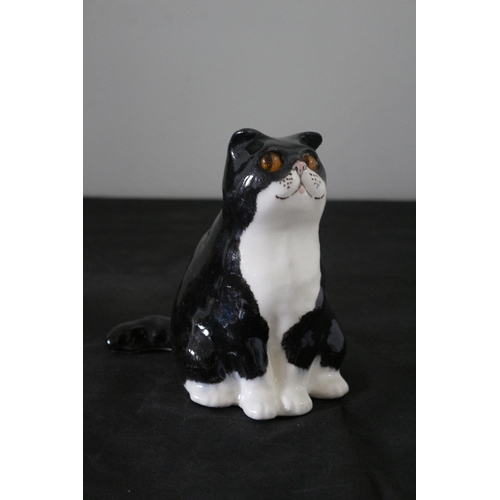 597 - Winstanley Size 3 - Sitting Fat Cat