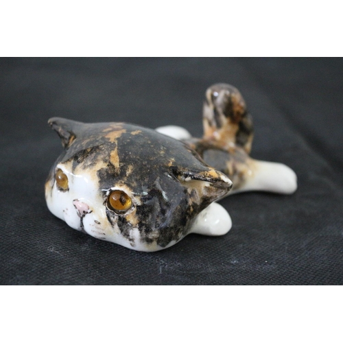 598 - Winstanley Size 1 - Laying Flat Cat with White Face