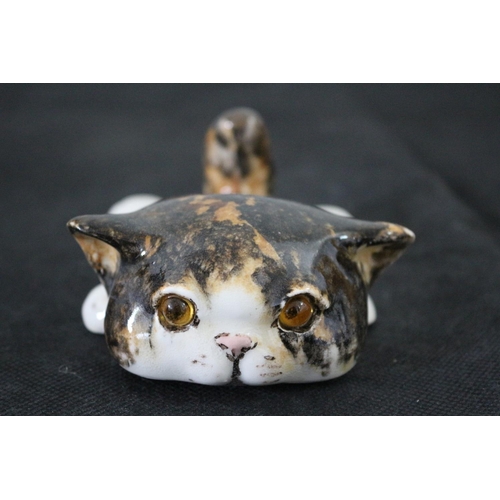 598 - Winstanley Size 1 - Laying Flat Cat with White Face