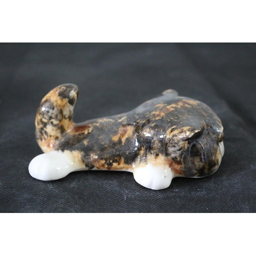 598 - Winstanley Size 1 - Laying Flat Cat with White Face