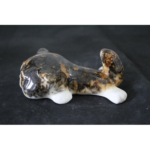 598 - Winstanley Size 1 - Laying Flat Cat with White Face