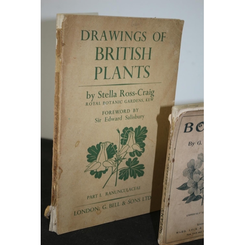 172 - Drawings of British Plants 1948- 1954 and Botany