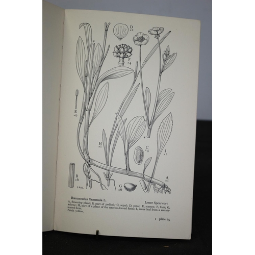 172 - Drawings of British Plants 1948- 1954 and Botany