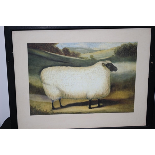 55 - 2 Framed And Glazed Prints Of A Sheep And Cow 55cm x43cm