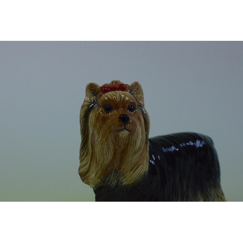 71 - John Berwick Yorkshire Terriers Long haired, slight chip