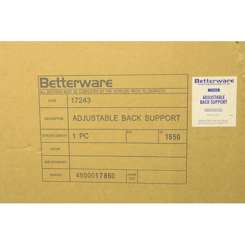 113 - A Boxed Back Support