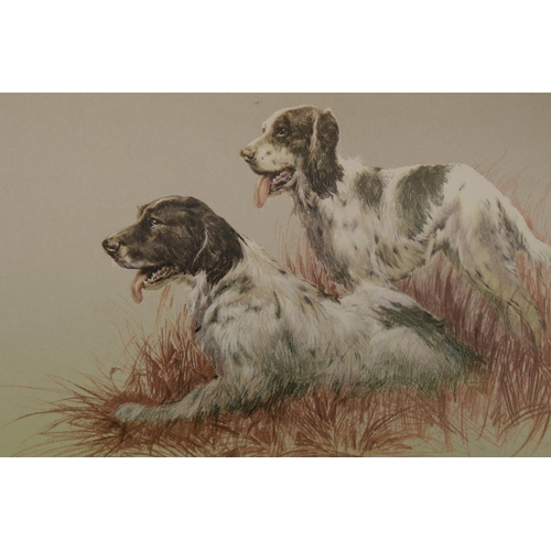 191 - A pair of Spaniels Signed print By Spencer Robert