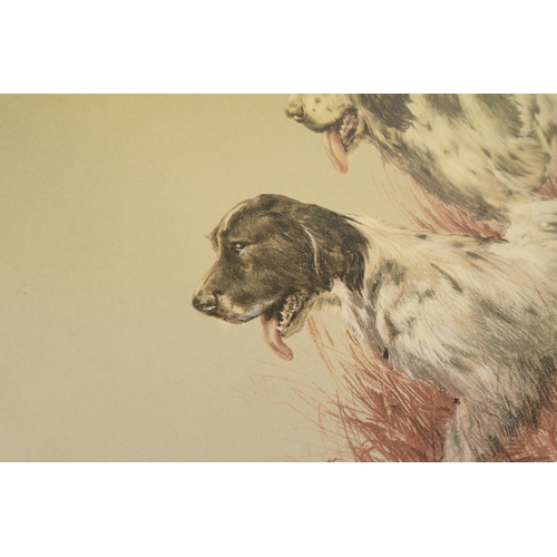 191 - A pair of Spaniels Signed print By Spencer Robert