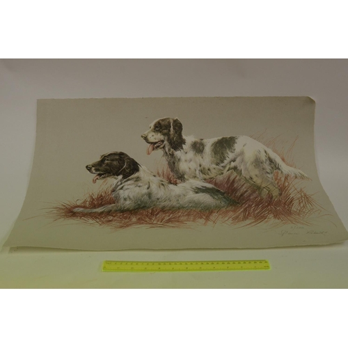 191 - A pair of Spaniels Signed print By Spencer Robert