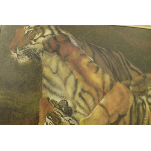 582 - Original Oil on Board Framed Two Tiger Cubs Playing P 82
59x47cm