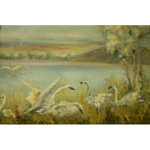 633 - Oil on Board Painting of Swans on a Lake in an Ornate Frame 73cm x 46cm