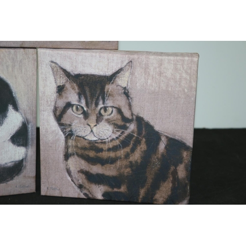 242 - 3 x Canvas Cat Prints Pink Peaceful Cats 220x220 cm