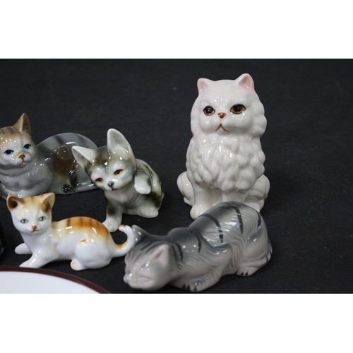 247 - A Selection of Ceramic Cats and a Coalport Plate with a Black Cat on it