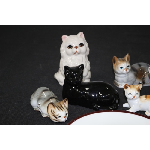 247 - A Selection of Ceramic Cats and a Coalport Plate with a Black Cat on it