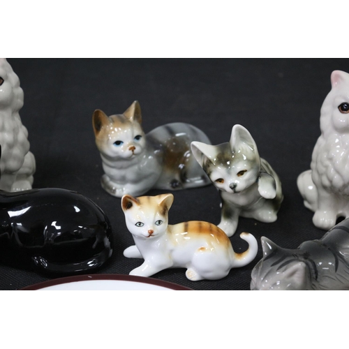 247 - A Selection of Ceramic Cats and a Coalport Plate with a Black Cat on it