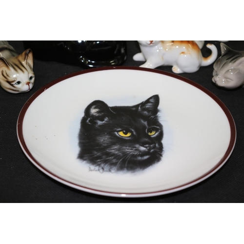 247 - A Selection of Ceramic Cats and a Coalport Plate with a Black Cat on it