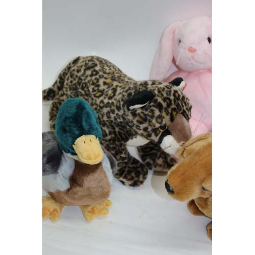 48 - A Collection of Cute TY Soft toys