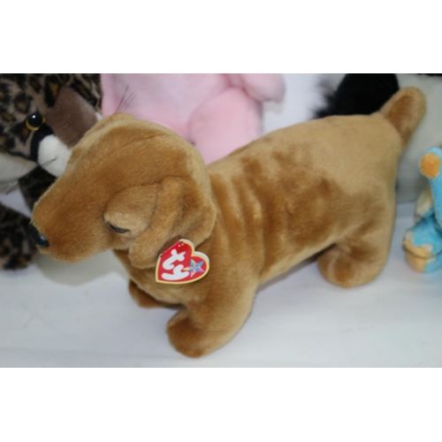 48 - A Collection of Cute TY Soft toys