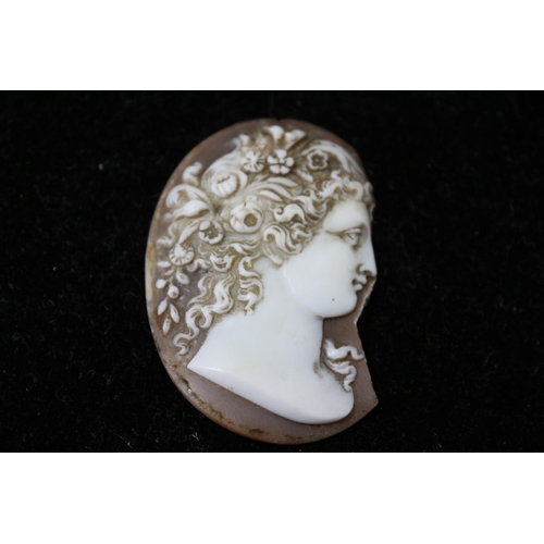 44 - Antique Shell Cameo Romanesque