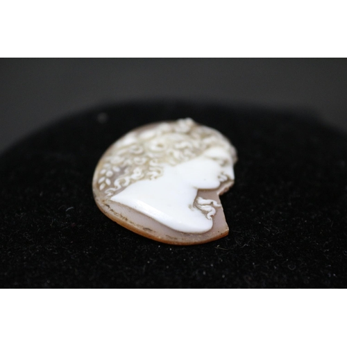 44 - Antique Shell Cameo Romanesque