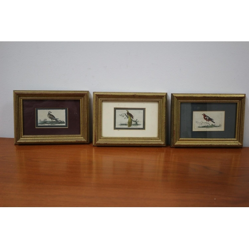 85 - 3 Antique Bird Prints Framed and Glazed 19CM X 14 CM